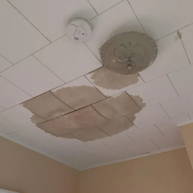 Ceiling Water Damage Repair in Burgettstown, PA