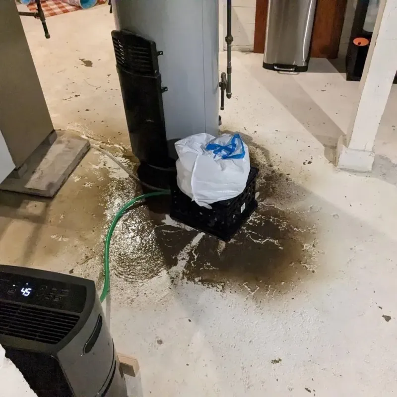 Sewage Backup Cleanup Service in Burgettstown, PA